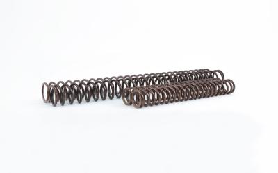 Fork springs