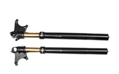 Front Fork Custom